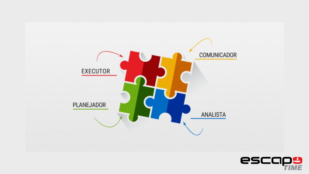 The 4 types of Professional Profiles within your company