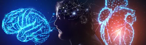 Emotional intelligence at work: how to apply on a daily basis