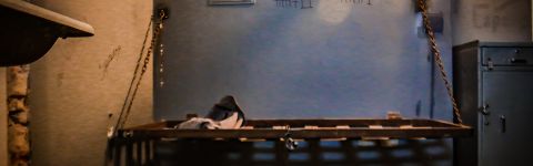 Jogos de enigmas viraram sensação no Rio