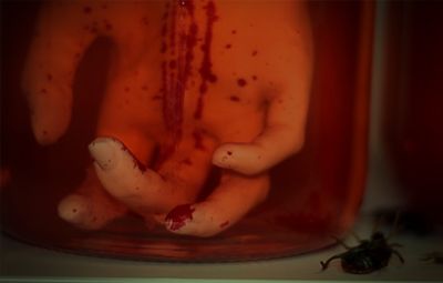 Z-Vírus – The Living Dead